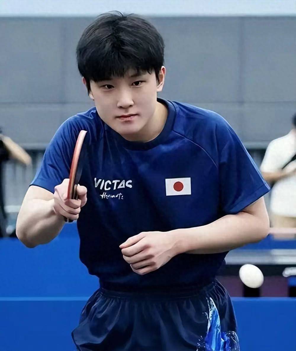德国乒乓球队翻盘比利时乒乓球队，张本智和高光表现的简单介绍