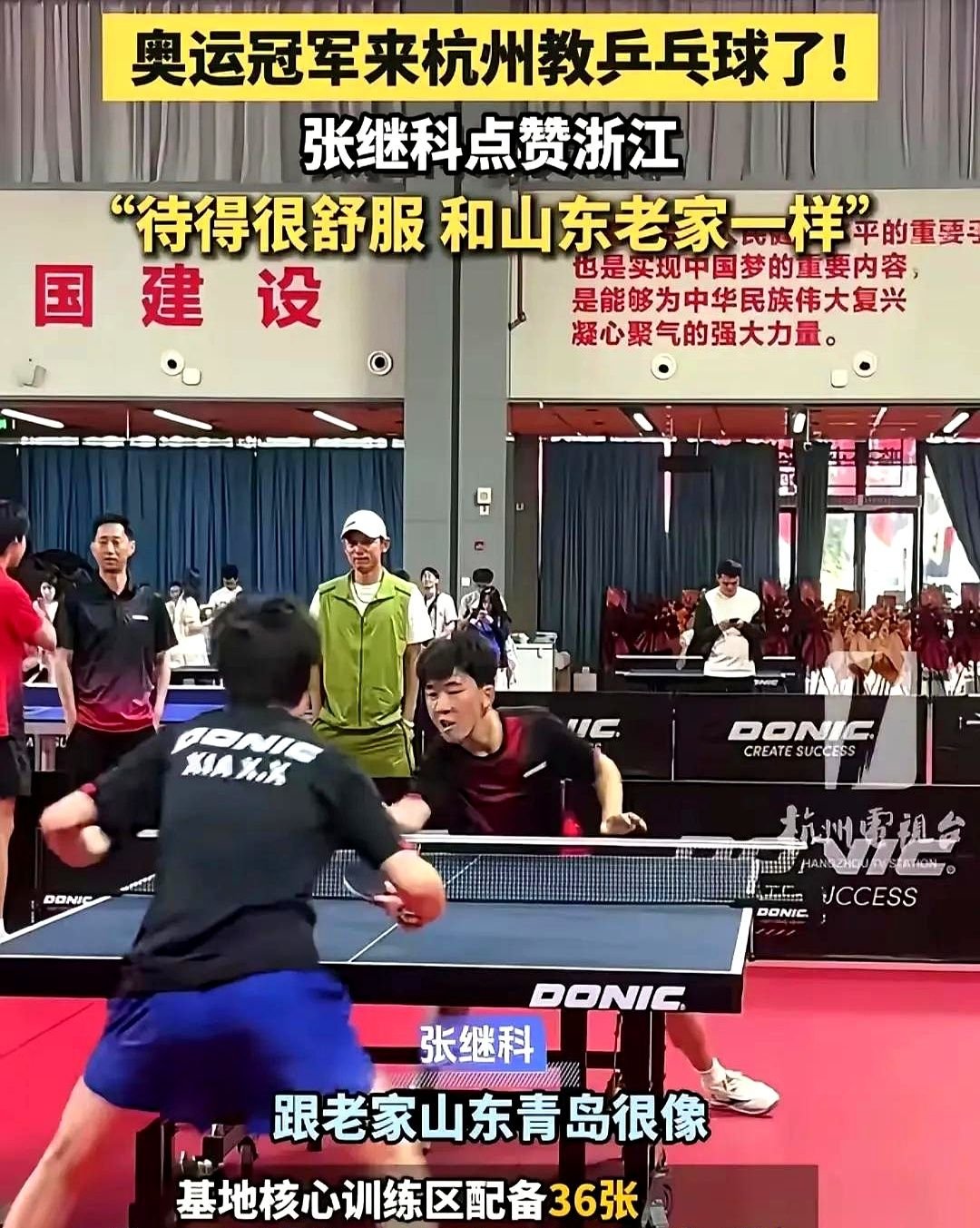 奥地利乒乓球队完胜波兰乒乓球队，张继科统治全场的简单介绍