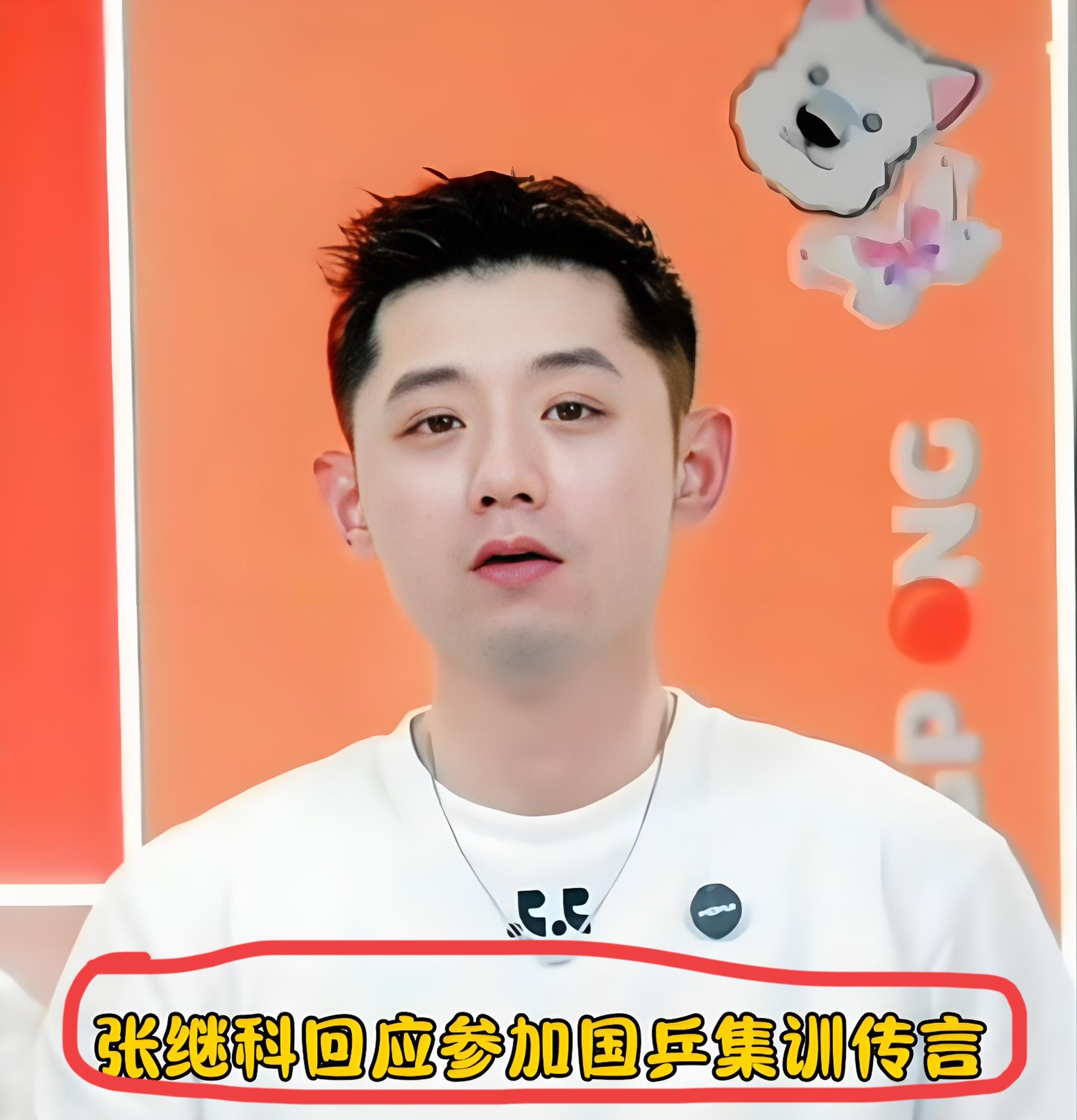 德国乒乓球队爆冷中国乒乓球队，张继科送出助攻的简单介绍